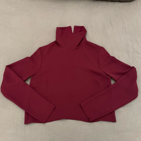 Aritzia Babaton Rembrandt Turtleneck Blouse - Picture 4 of 8